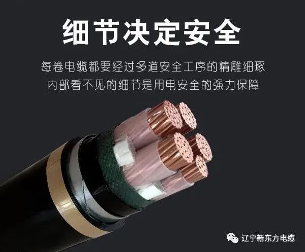 【辽宁新东方大连电缆集团】好大连电缆承载的不只是电流，还有责任与安全